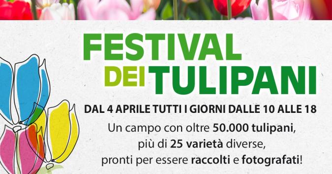 Festival dei Tulipani