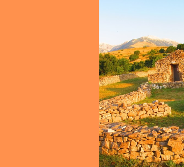 THOLOS