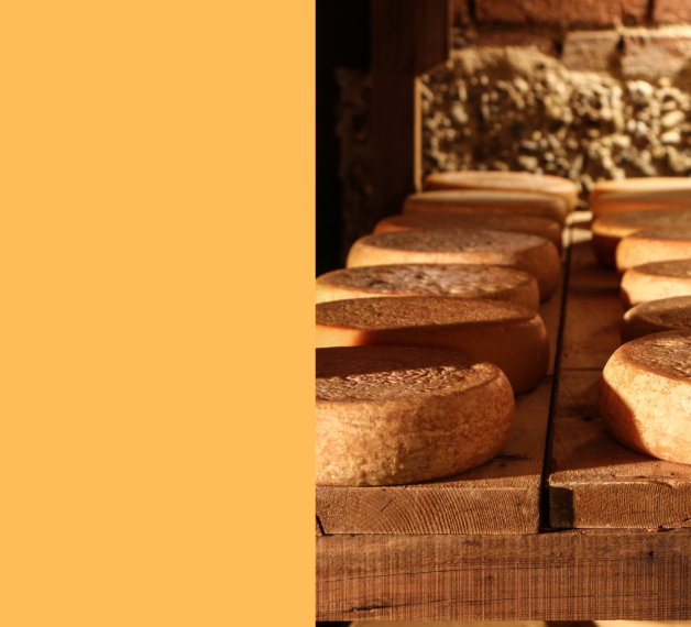 cantina Borgo Affinatori