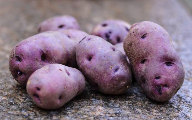 patata turchesa