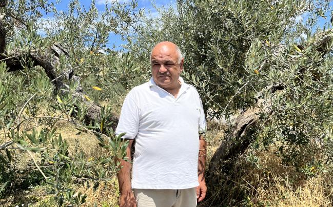 Claudio Di Mercurio